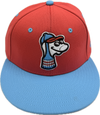 Alternate On-Field Cap- Stirrup Guy