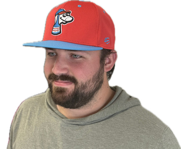 Alternate On-Field Cap- Stirrup Guy